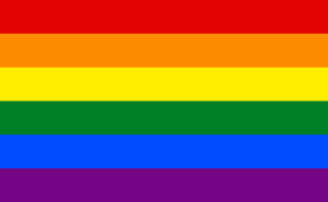 Gay_flag.svg_-300x185